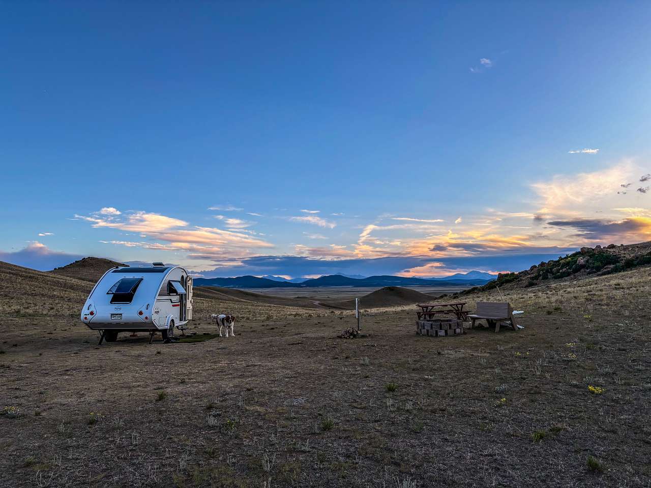 Pronghorn Oasis