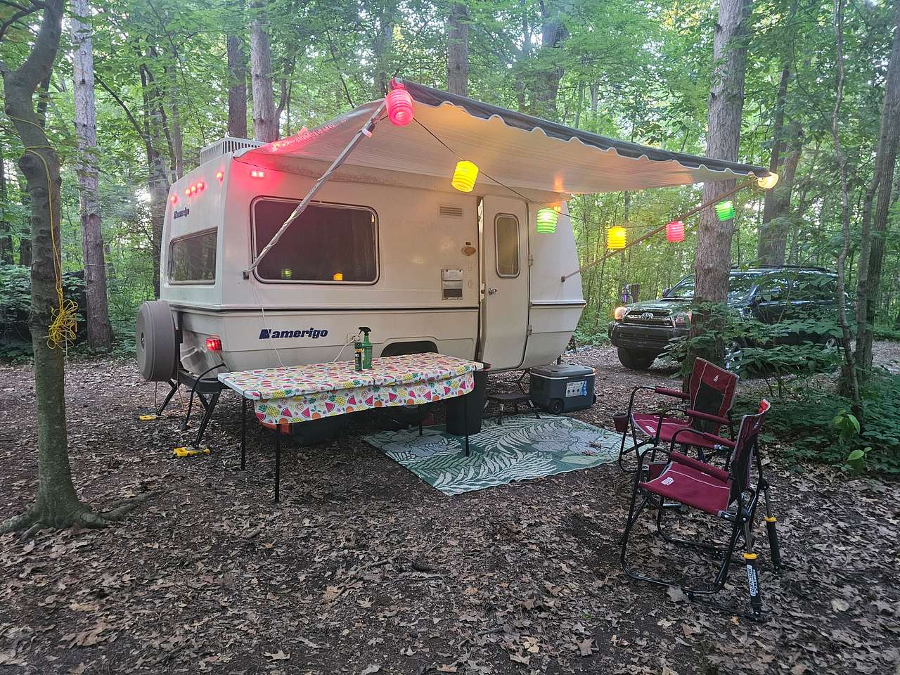 Woods site #4