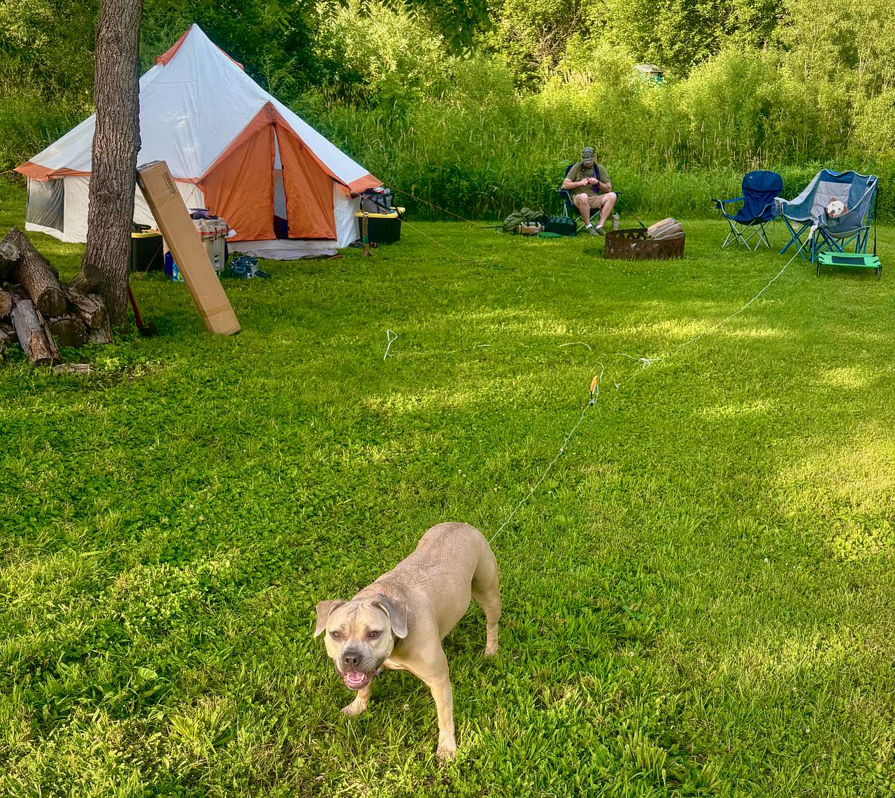 Campsite with FurBabies