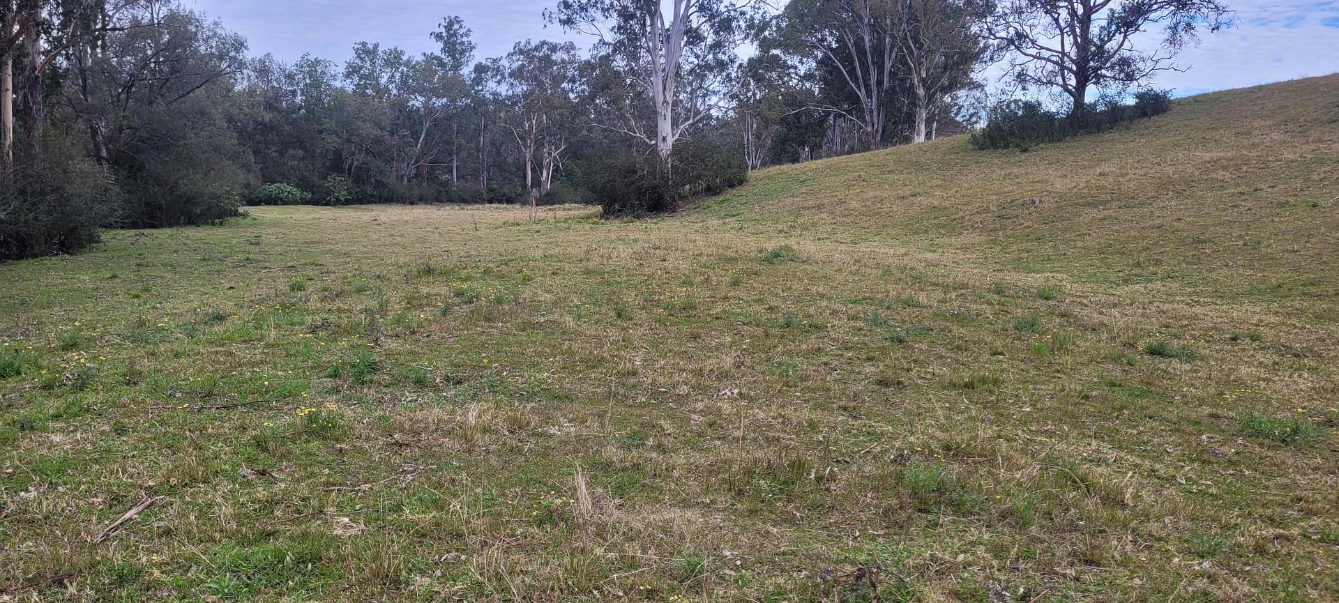 Bowrunga