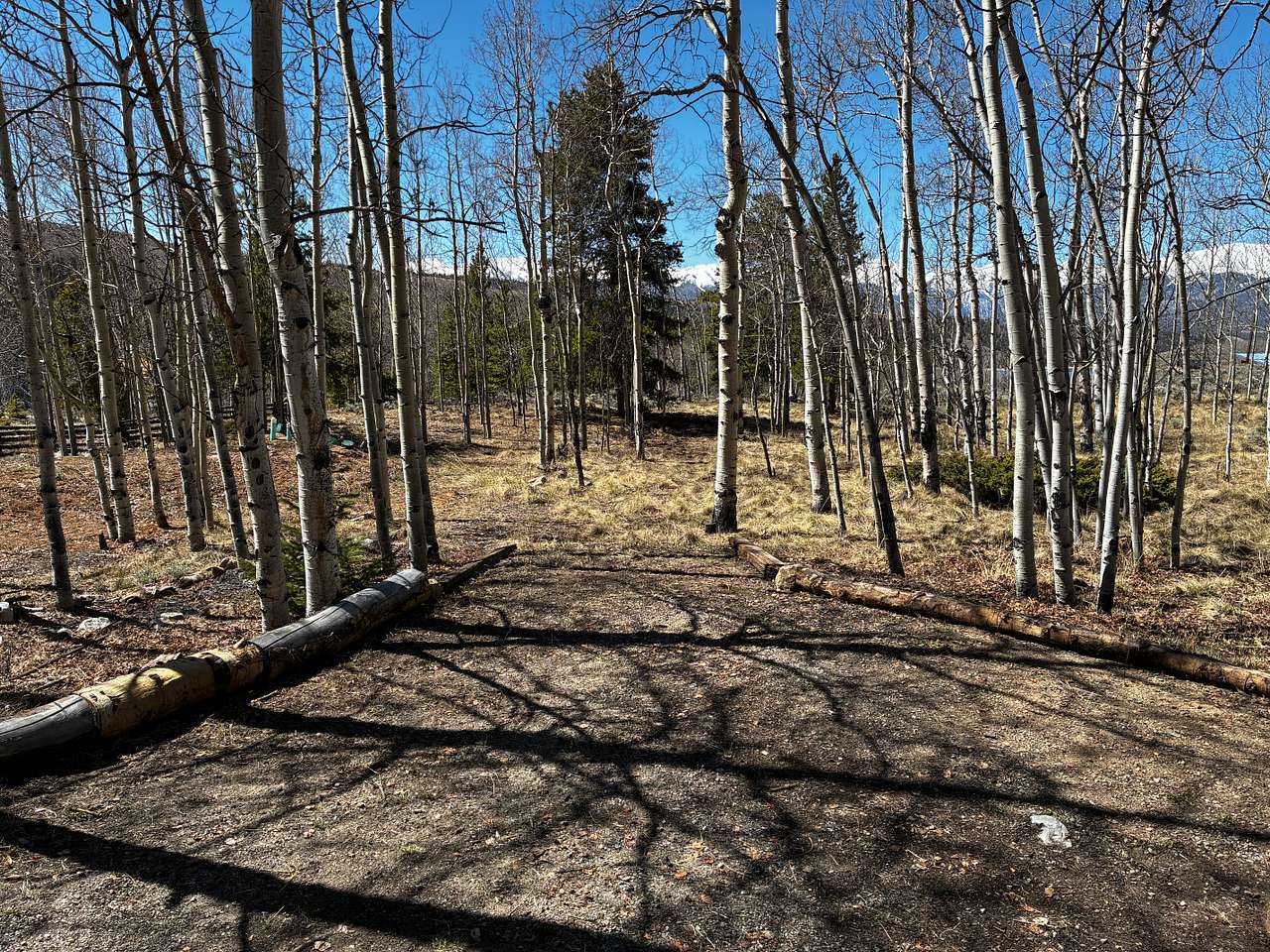 Leadville Oasis
