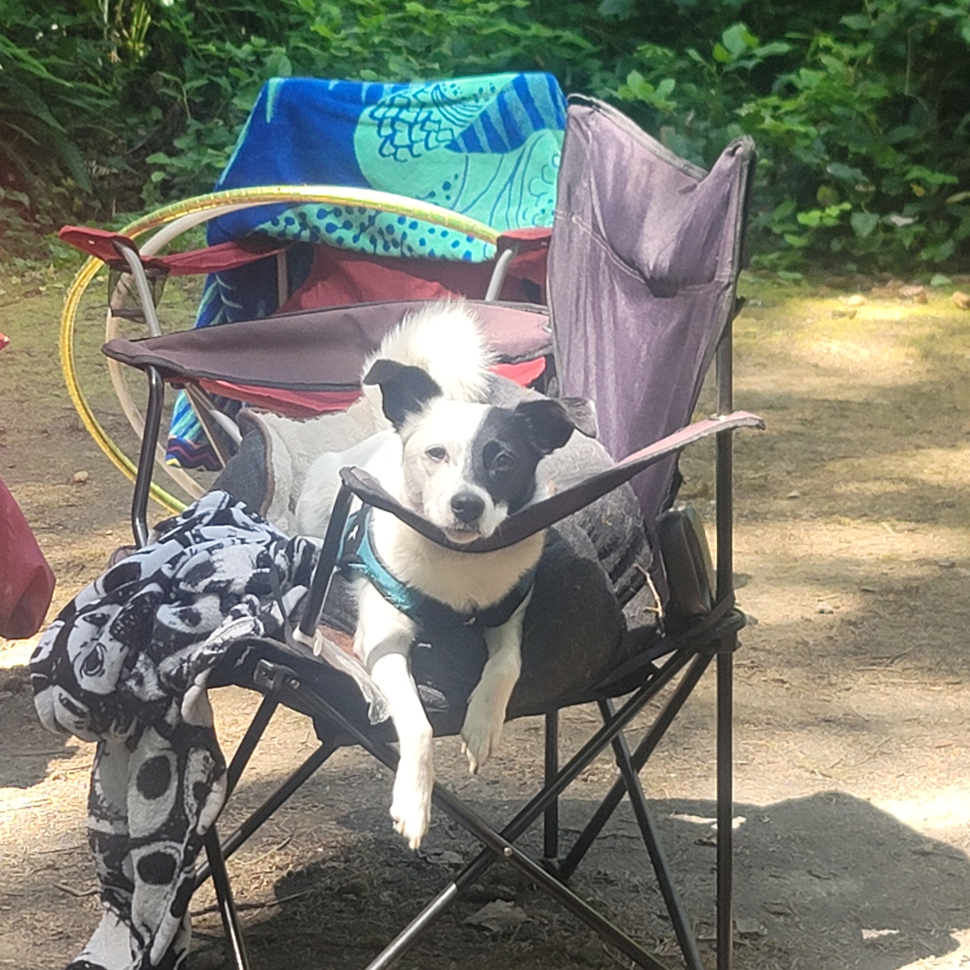 He was tuckered out