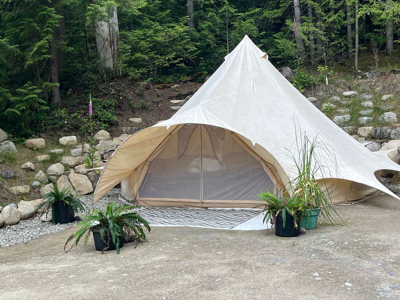 Forest Sanctuary Bell Tent