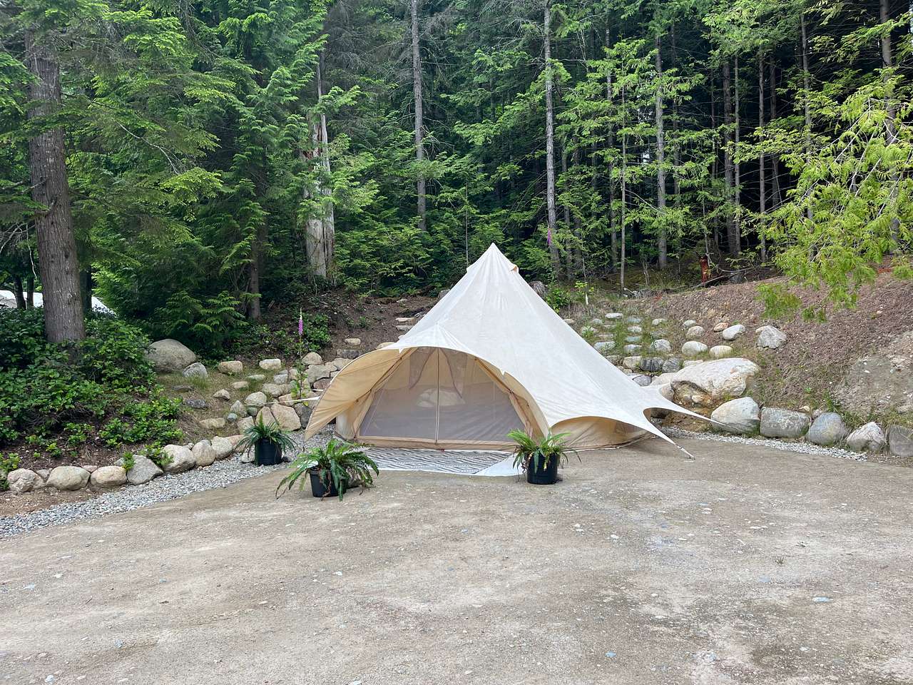 Forest Sanctuary Bell Tent
