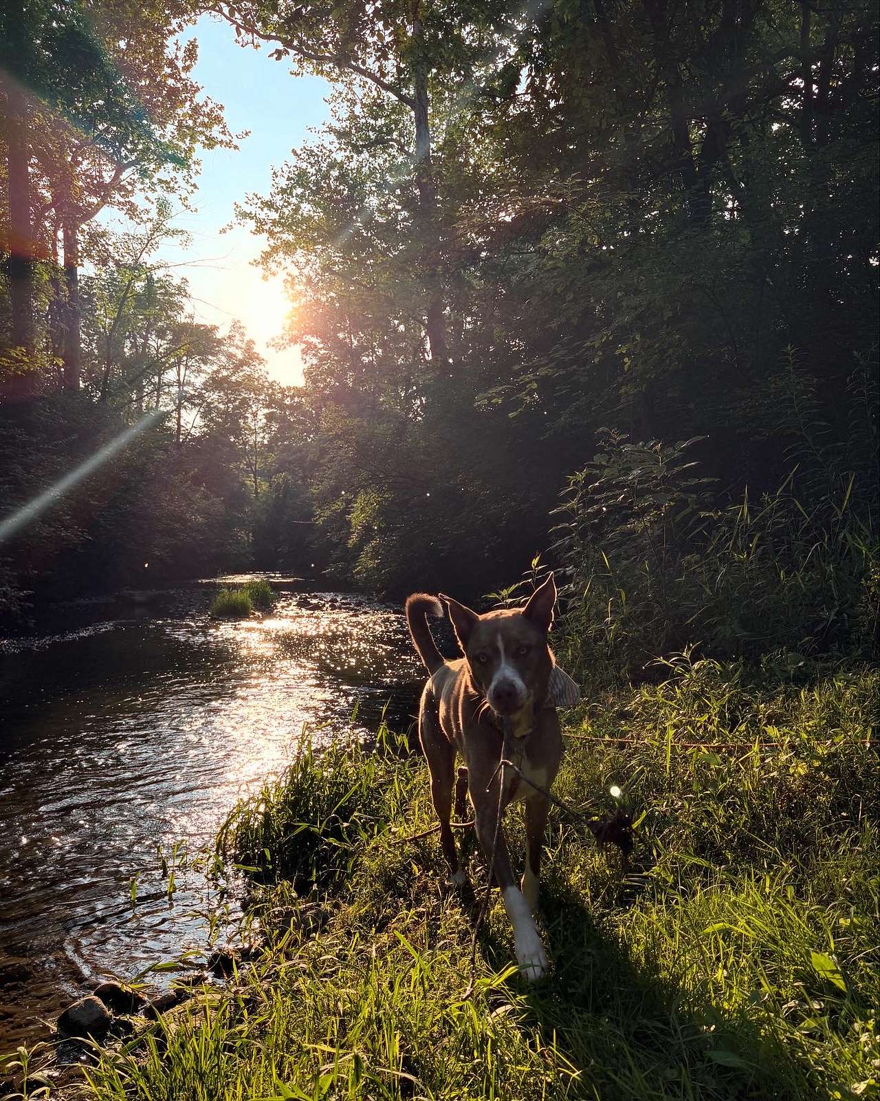 The Land of Milk And Honey