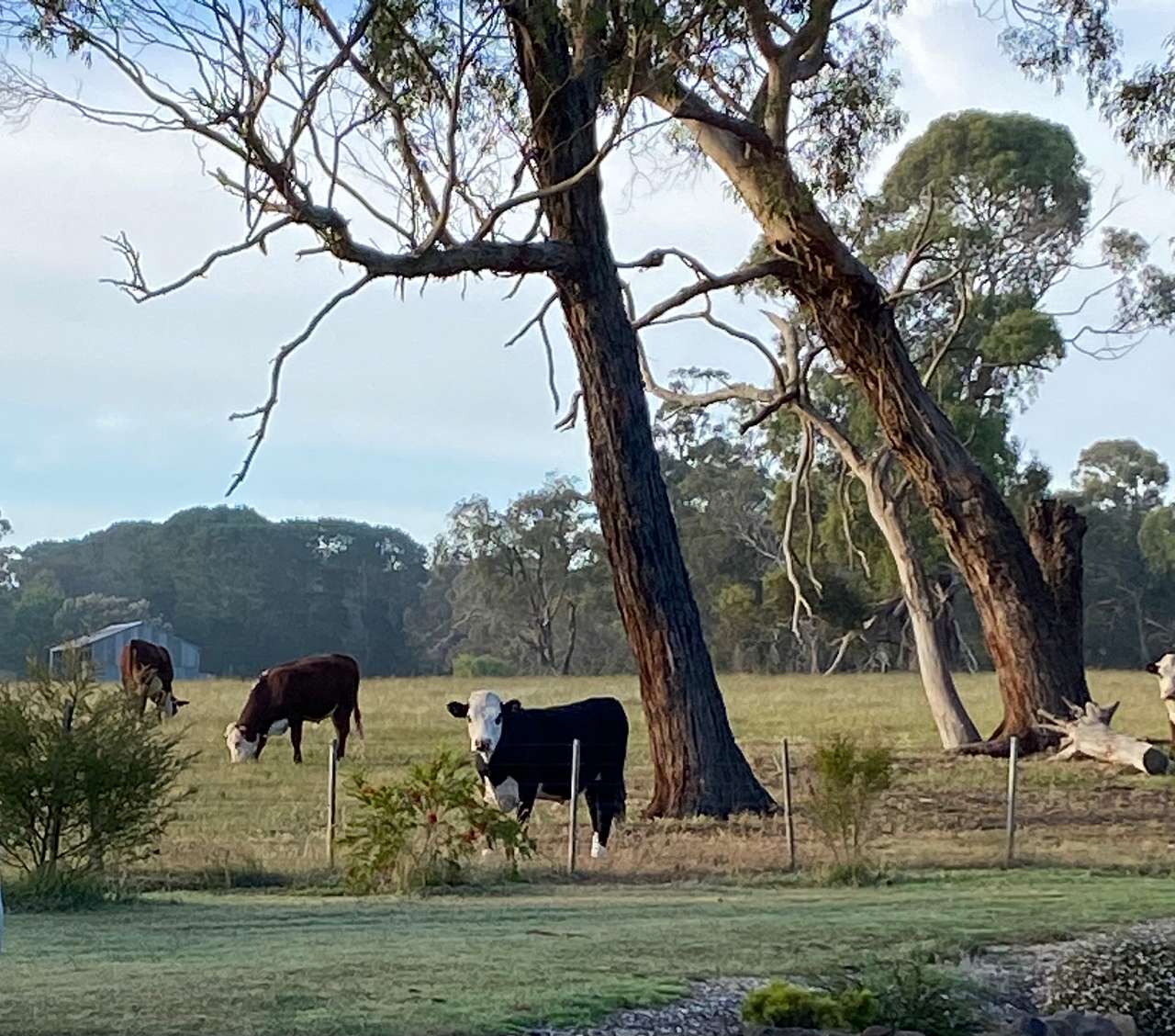 Sunny Lake Farm