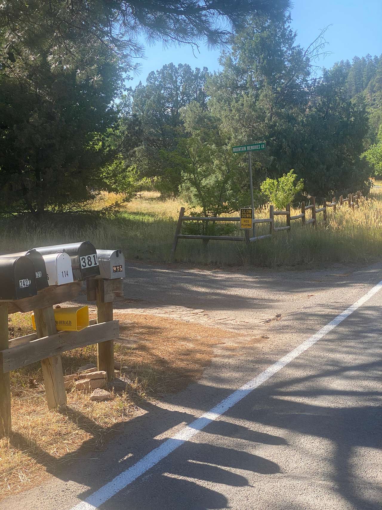 A Colorado Trail Gem