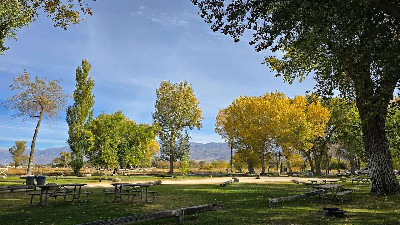 Brown's Town Campgrounds