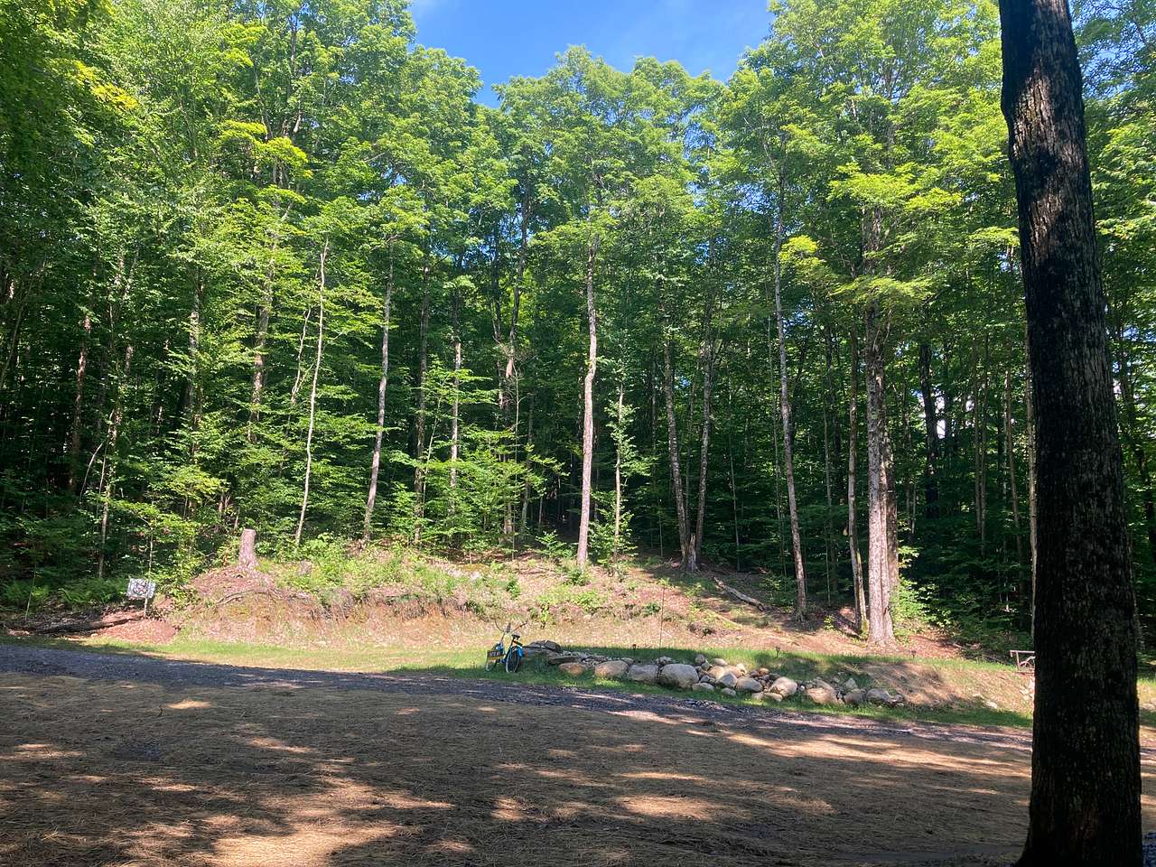 Wendy’s Woods on the Kingdom Trails