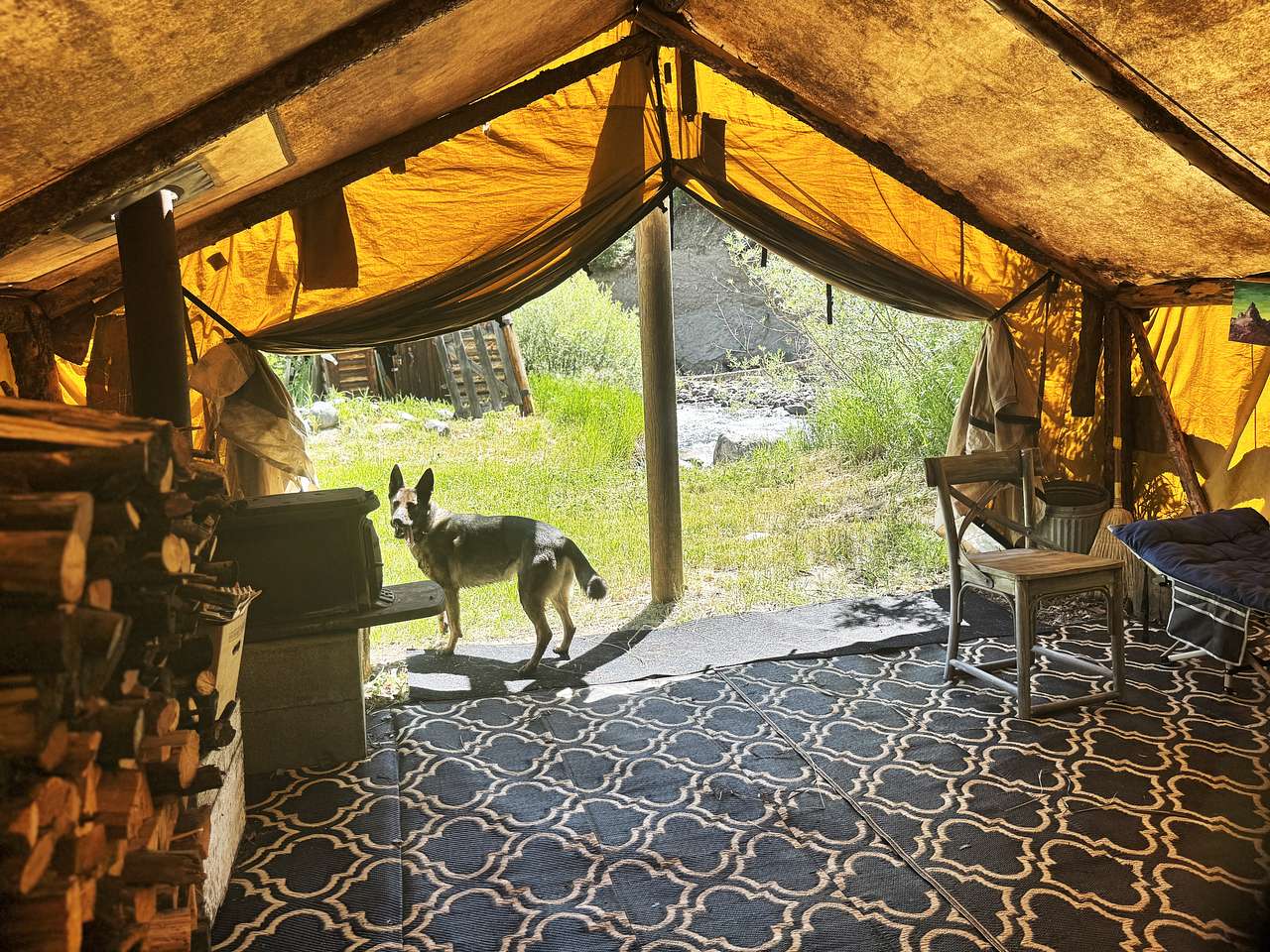 Looking out towards the creek and barn from inside the wall tent. Maya the German Sheperd lives on the property and may come over for a visit. She's very friendly and would love for you to throw the stick for her. Please let us know if you'd prefer that we try to keep her contained to the other side of the creek where she lives. 