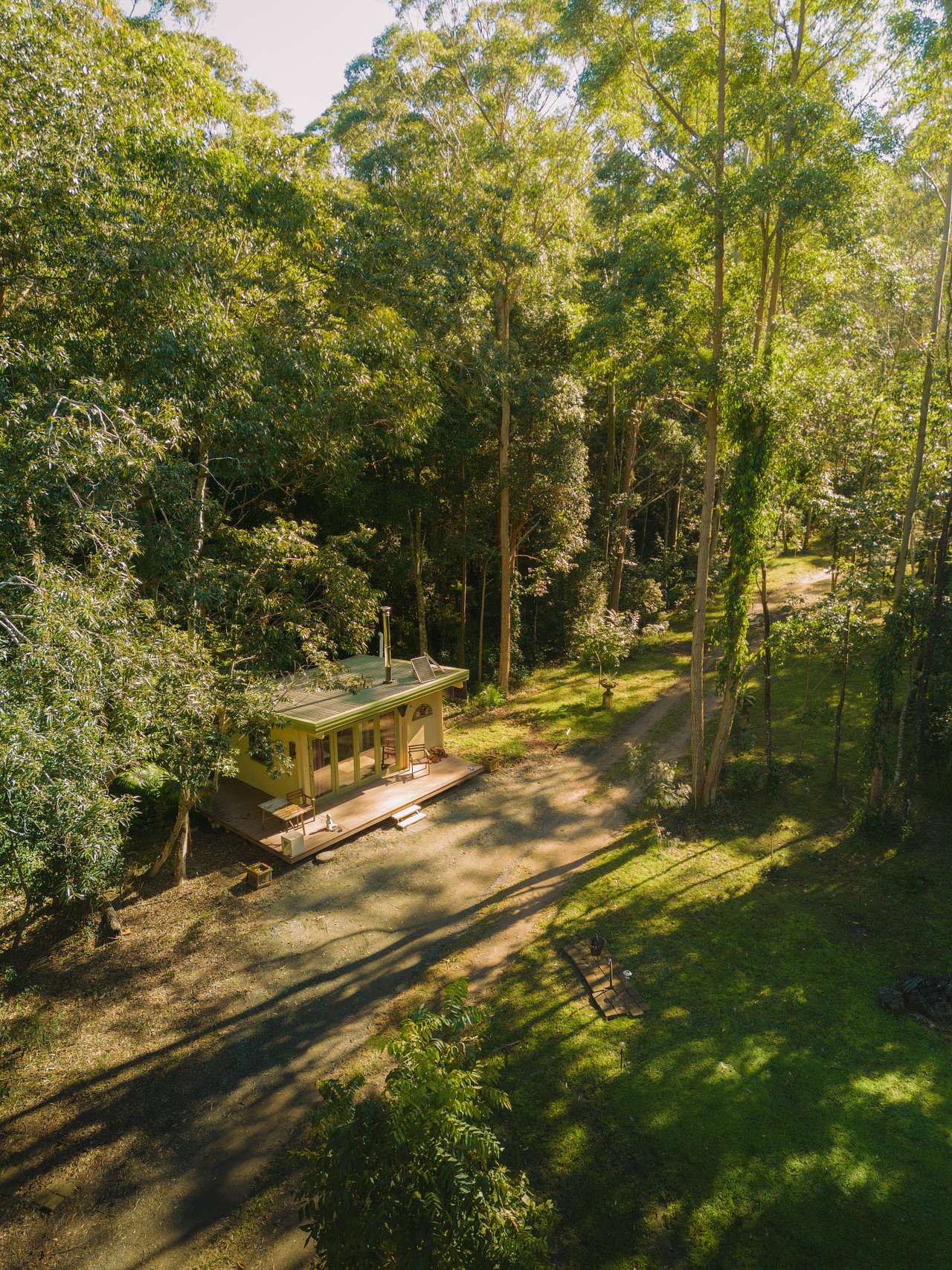 Wombat's Forrest
