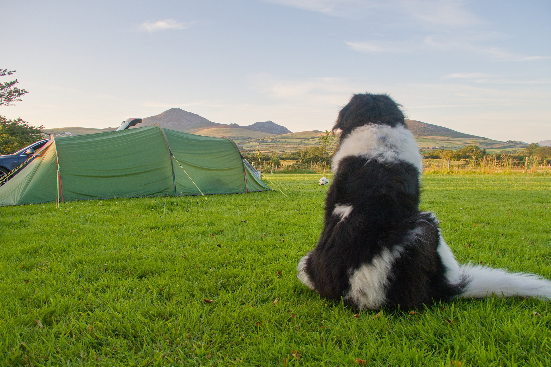 Tyn on The Llyn Campsite