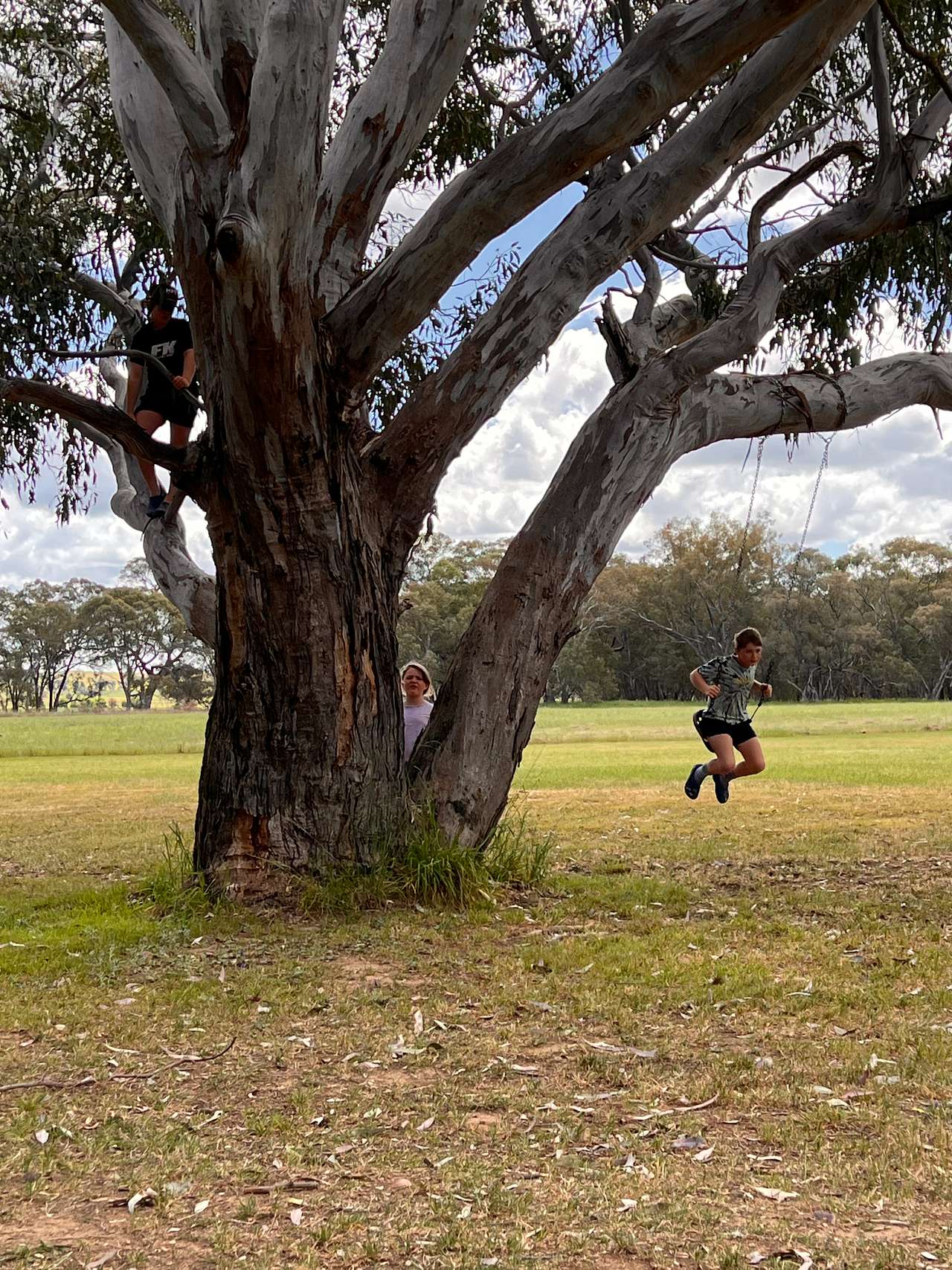 Wendouree Creek Camp