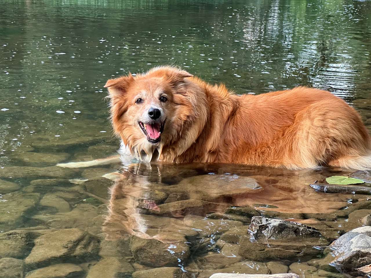 Our lady was in her favorite place