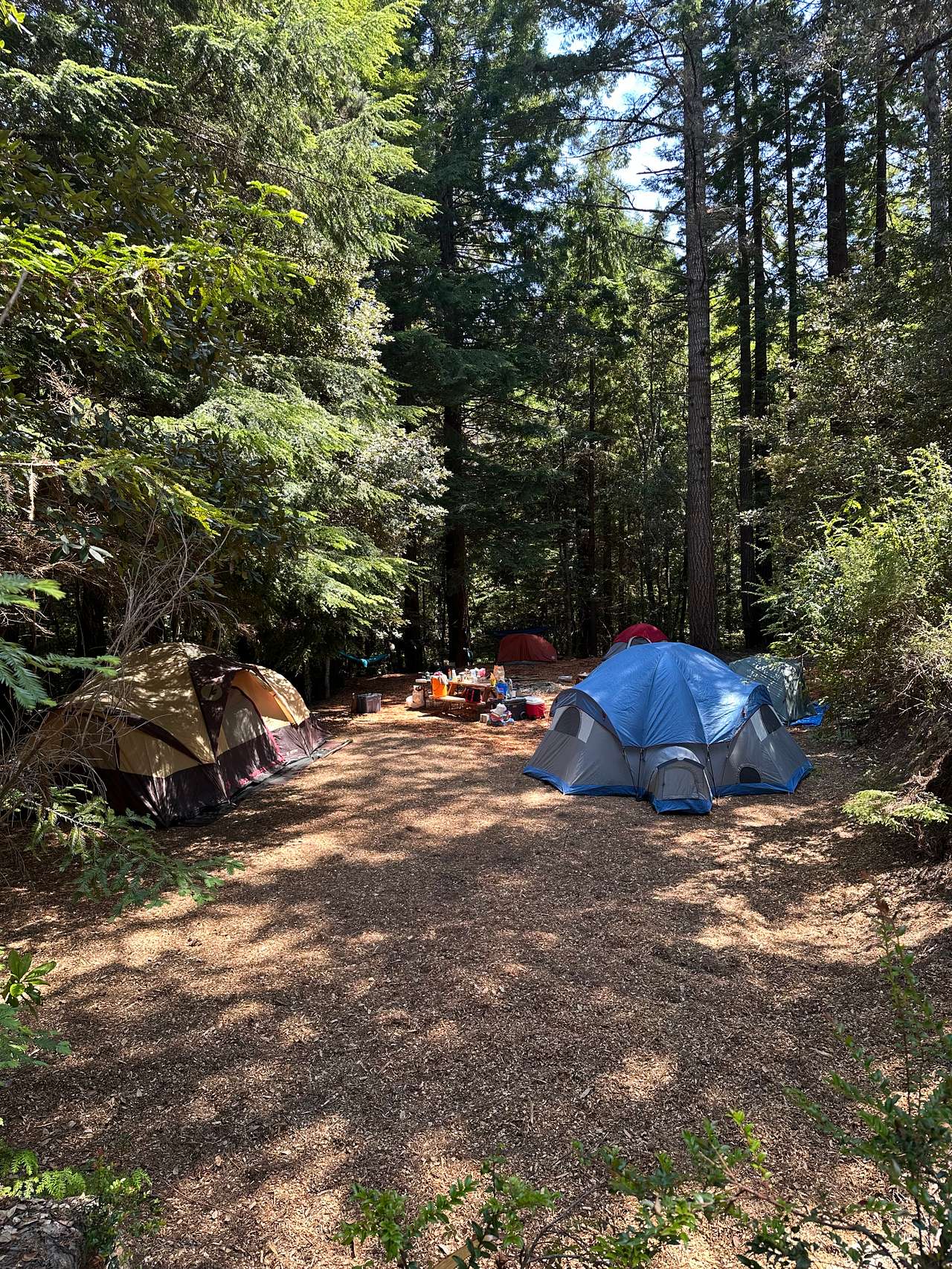 Bigfoot’s Coastal Hideaway