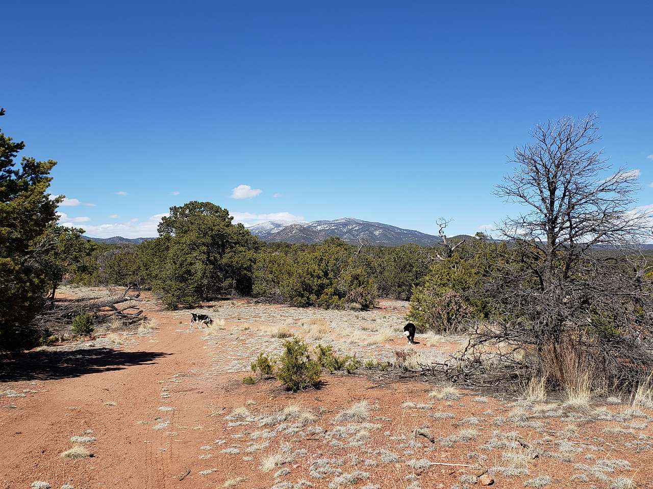 Ridgetop Oasis Private Tent Site