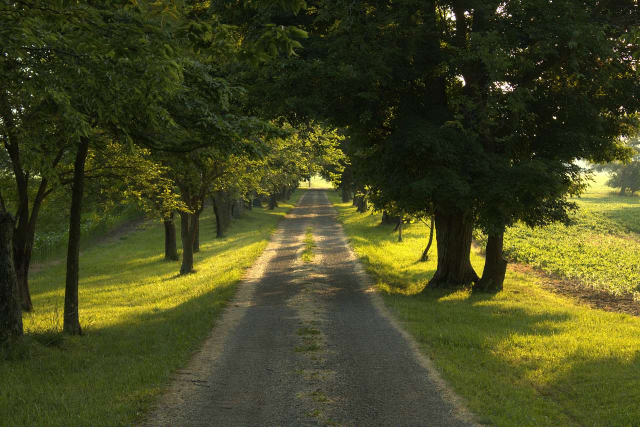 Madden Farm