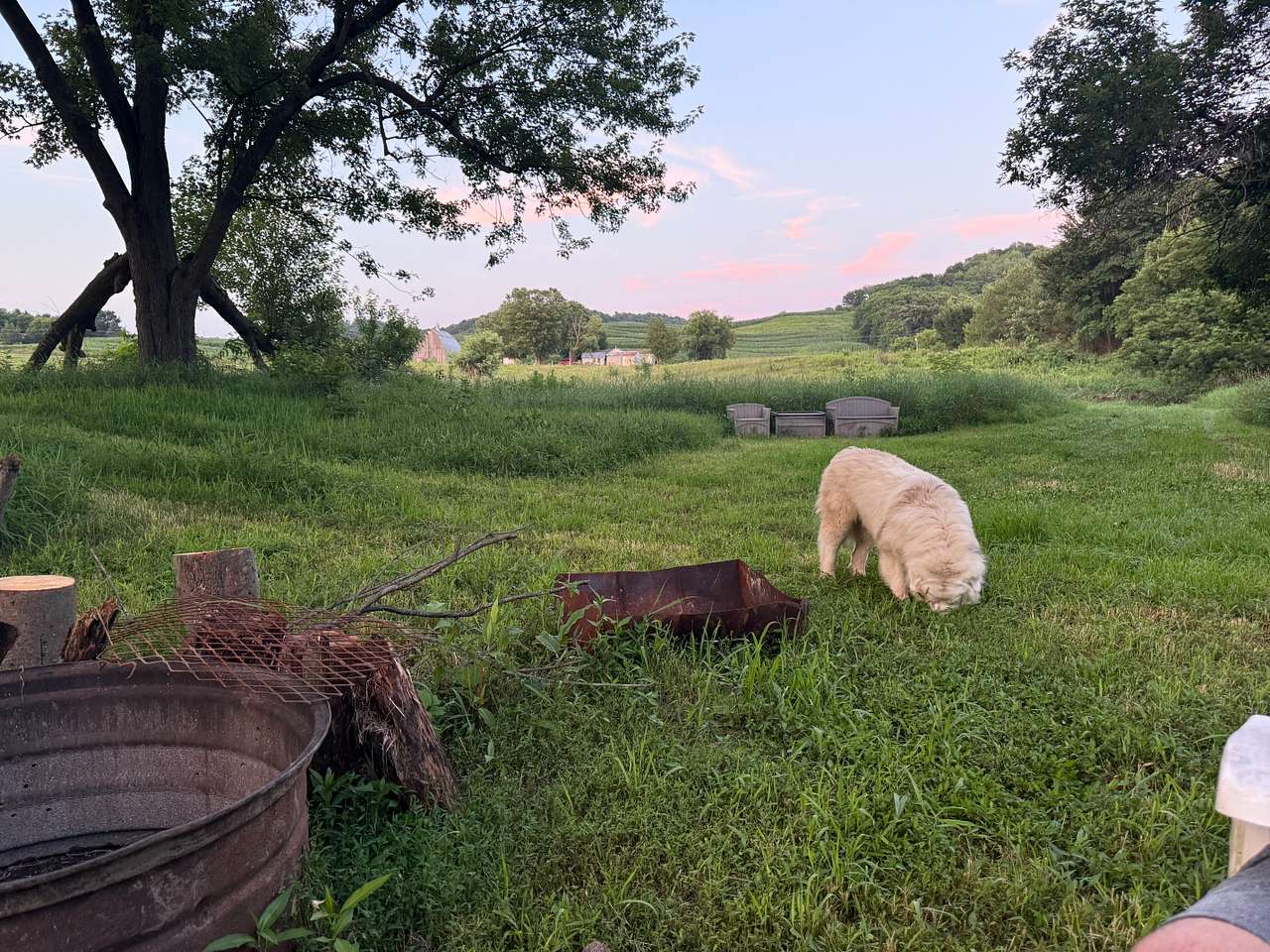 Finally A Farm