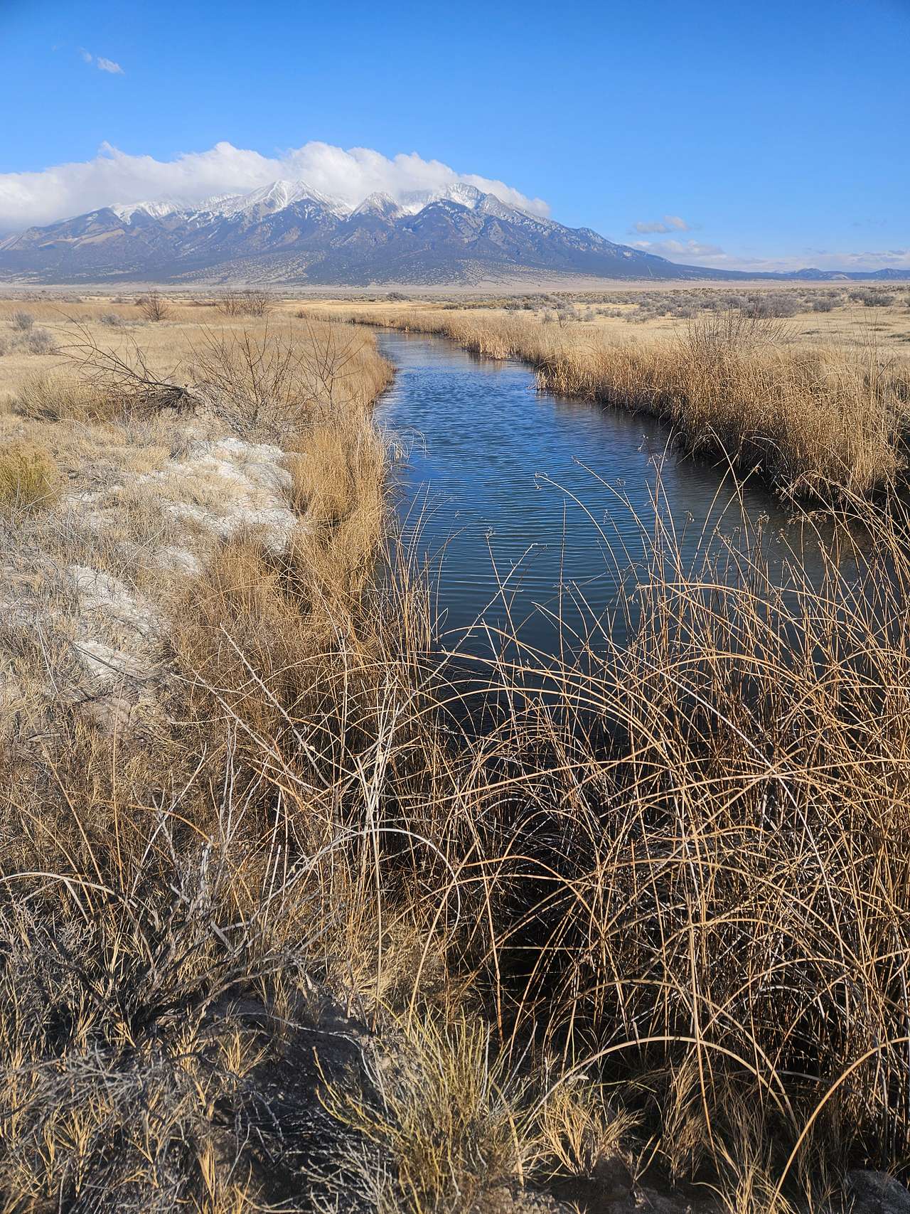 Mt. Blanca Wetlands Oasis