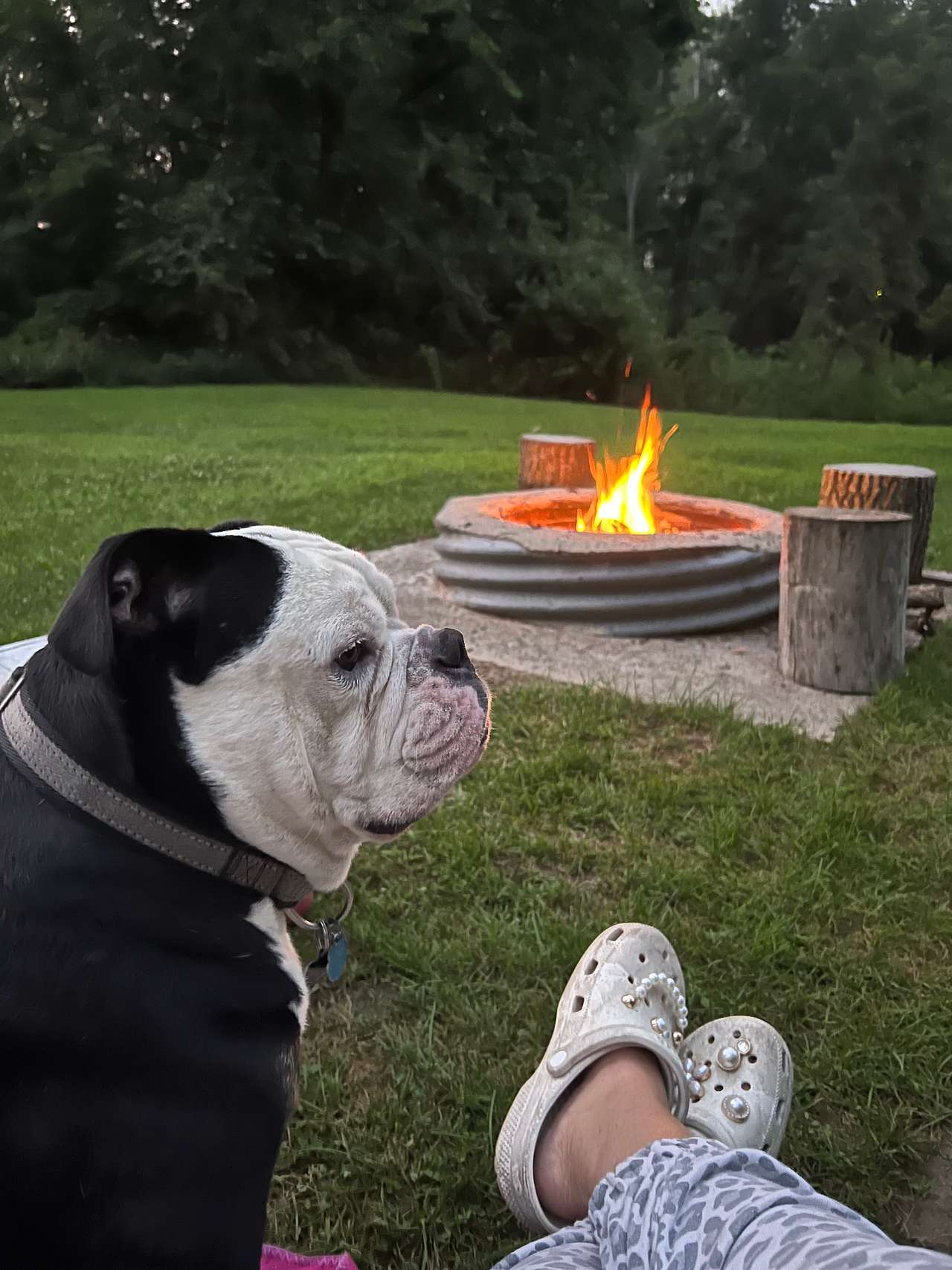 Fire ring 