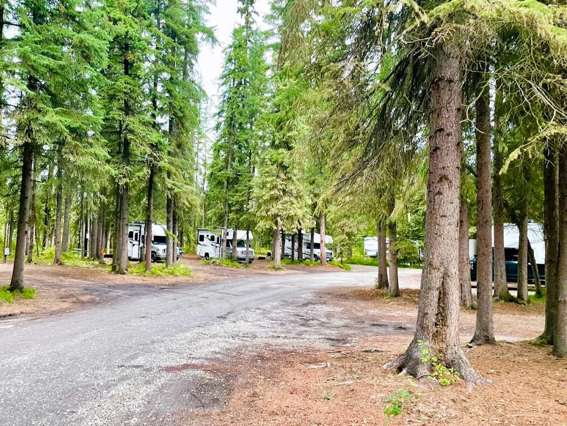 Tanana Valley Campground