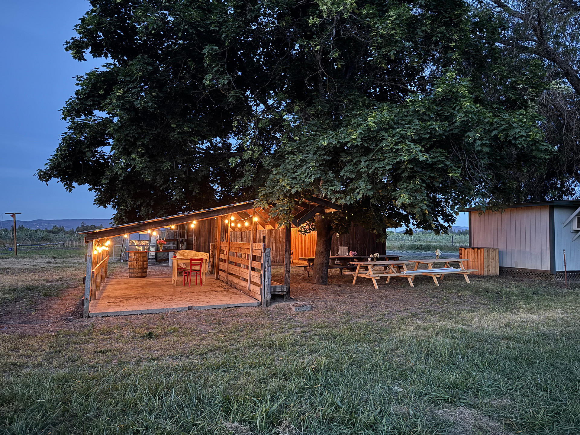 Wild Hare Farms