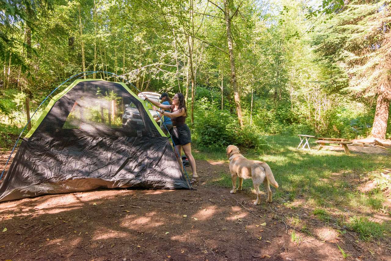 Host's dog helping us set up camp!