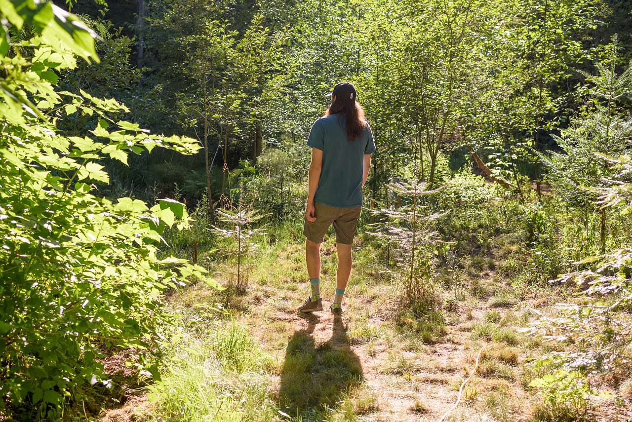 Walking to the pond from camp, it's a very short walk