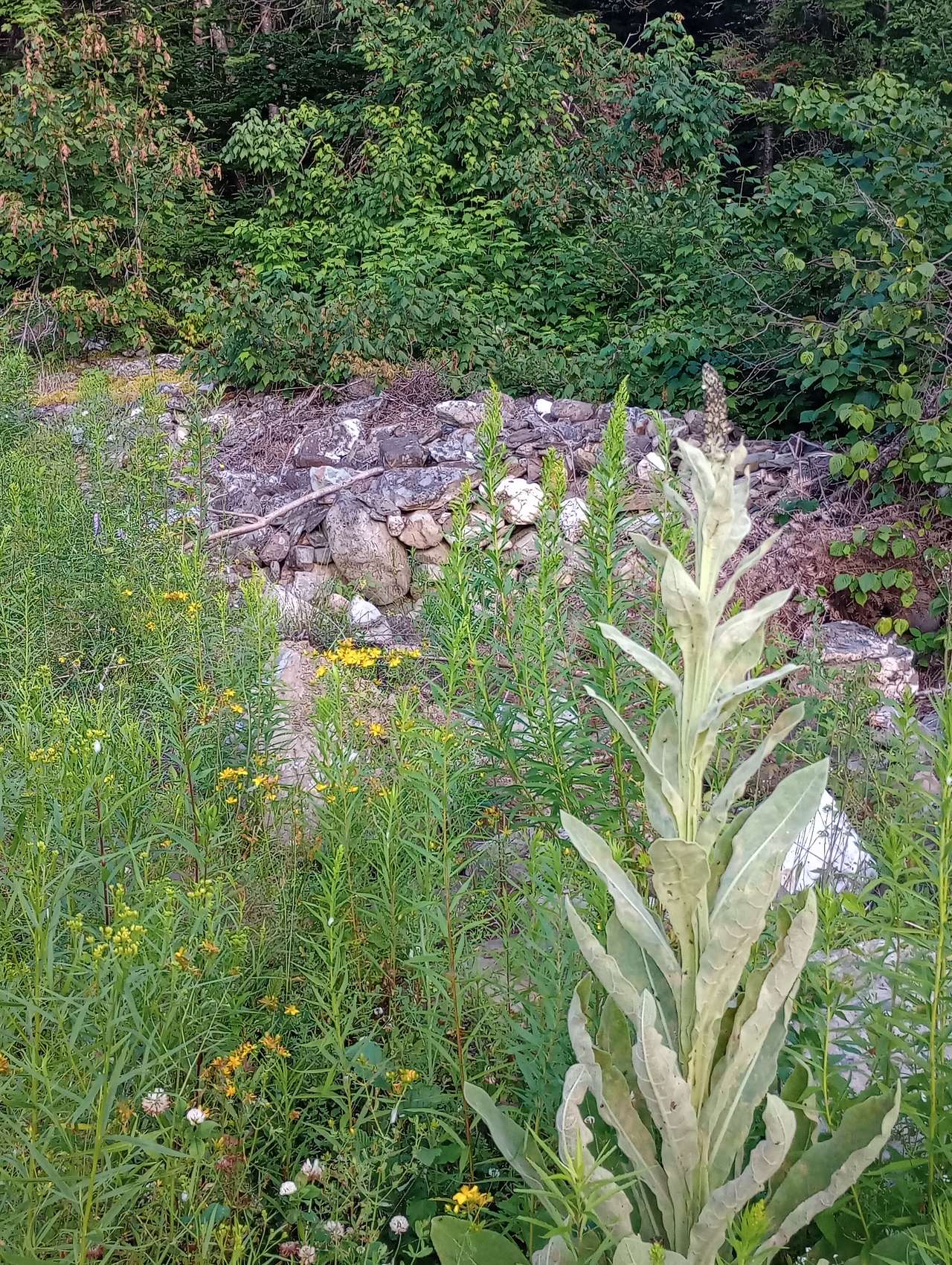 Cedar Valley Land 4 Lease