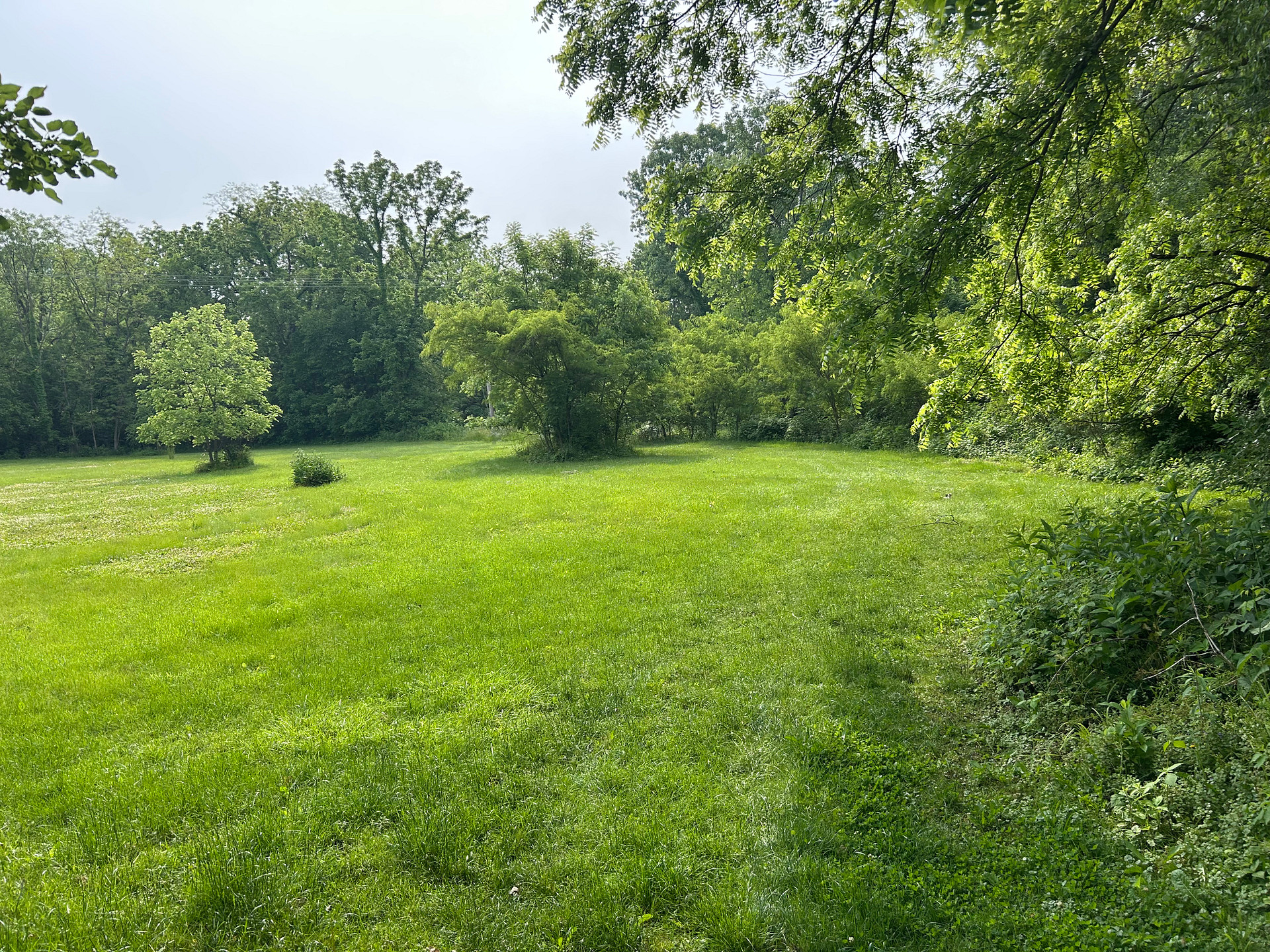 Gypsi Acres