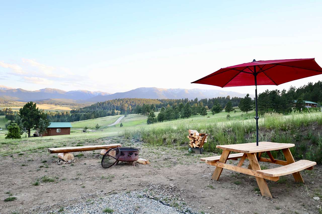 Fire Pit and Picnic Table