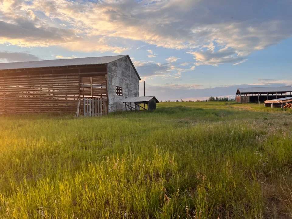 Wrangell Mountain Homestead
