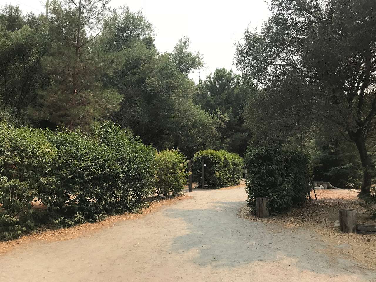 Kaweah Oaks Campground