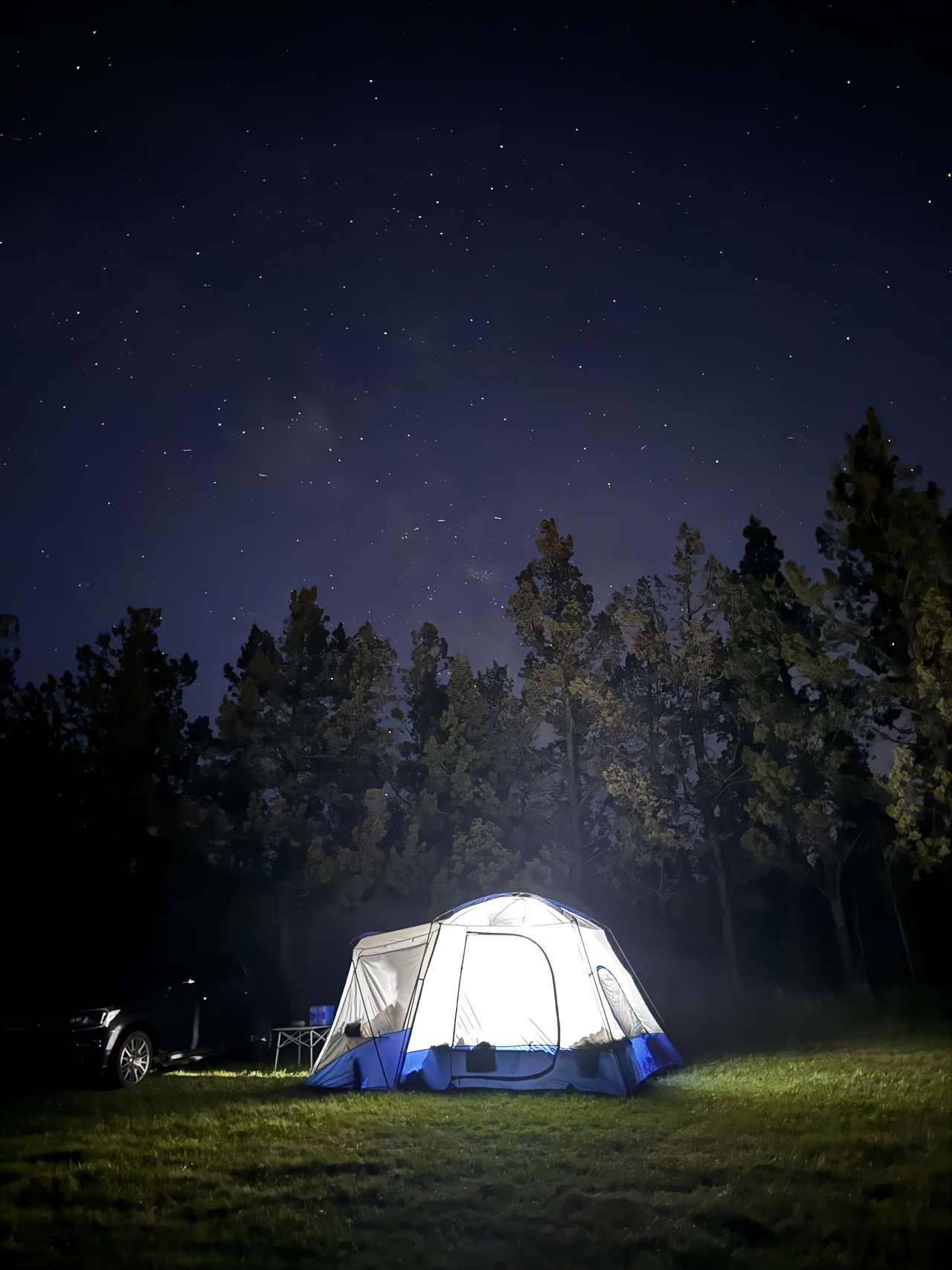 Kermit Farm,  starry nights
