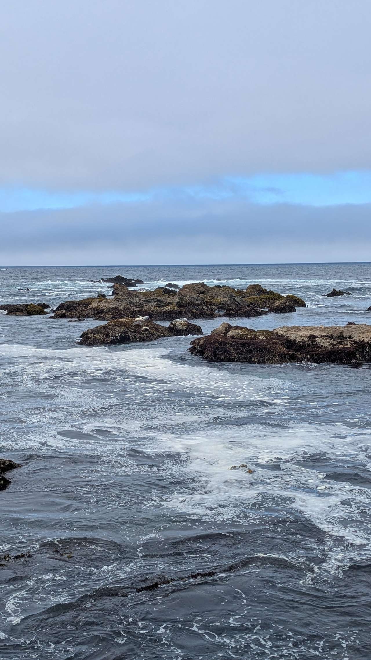 Short drive to the coast