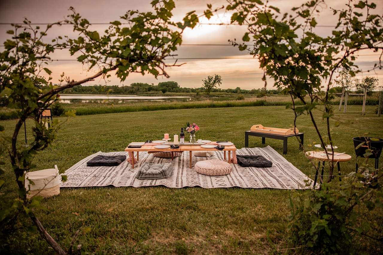 Painted Prairie Vineyard