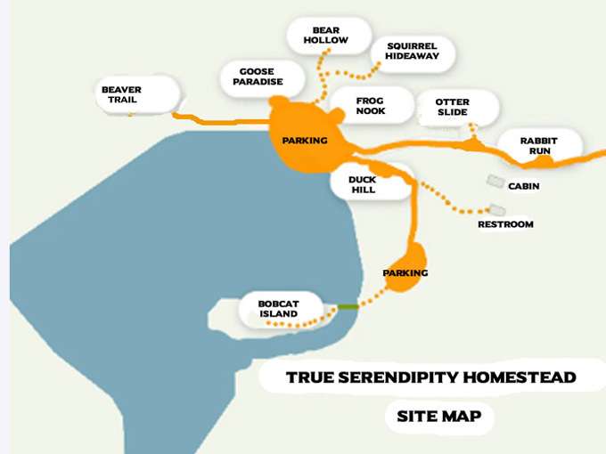 True Serendipity Homestead