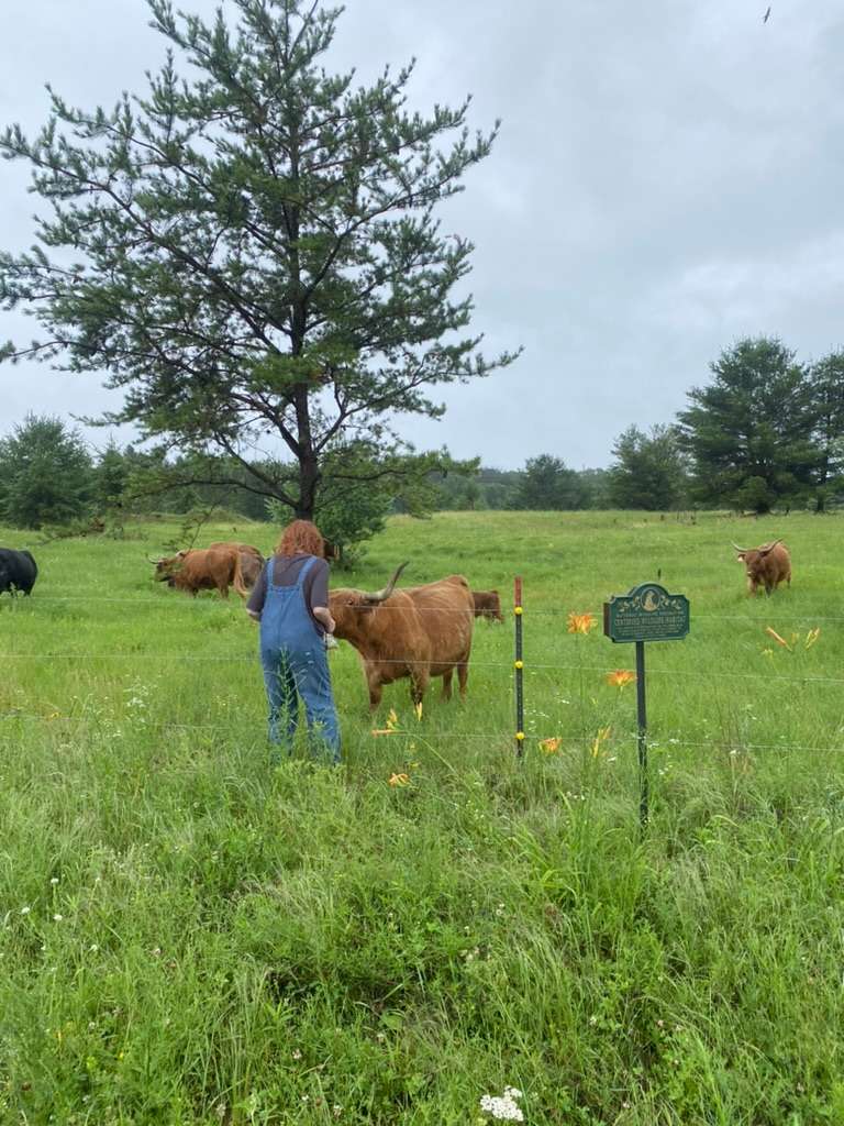Forage Girls Farm