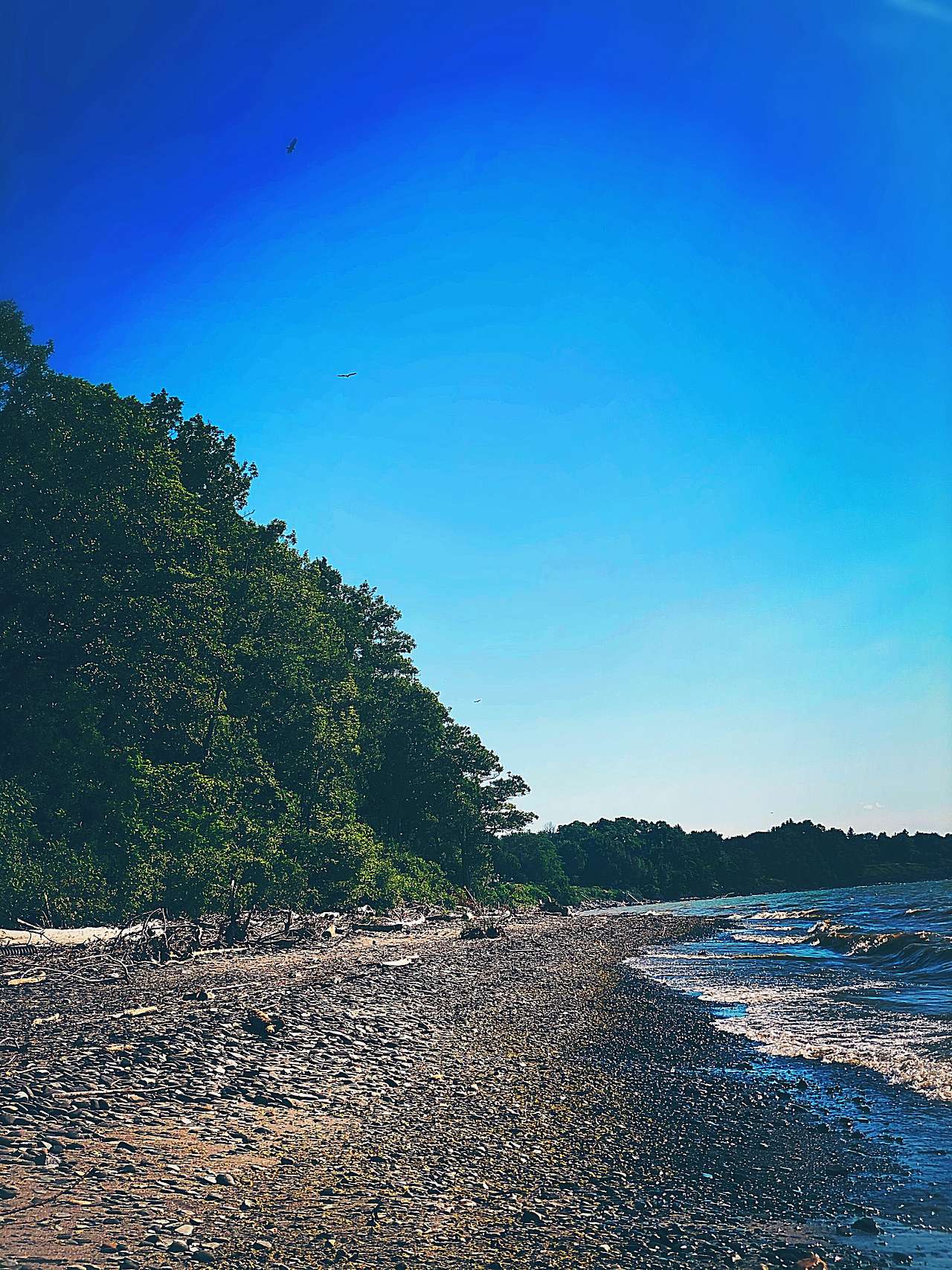 Lake Erie Cabins