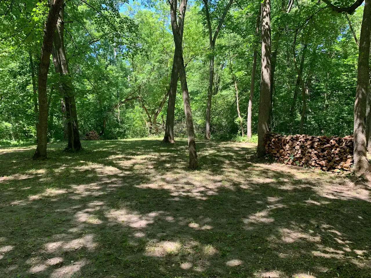 The Woods