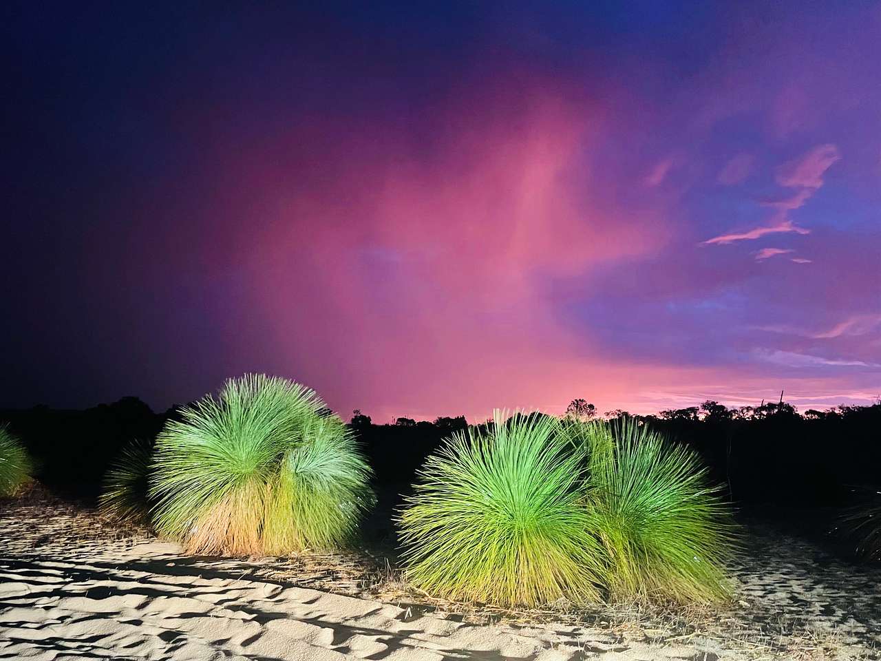 Caladenia Getaways
