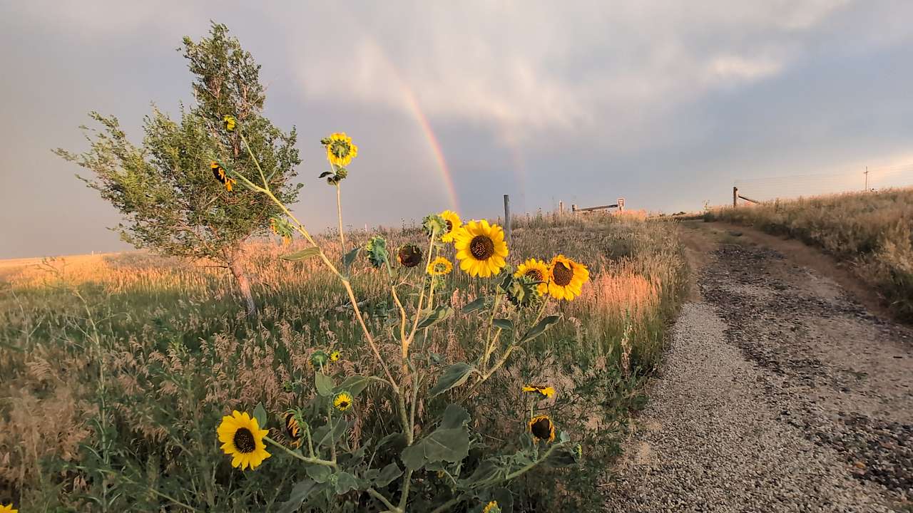 Apollo Ranch