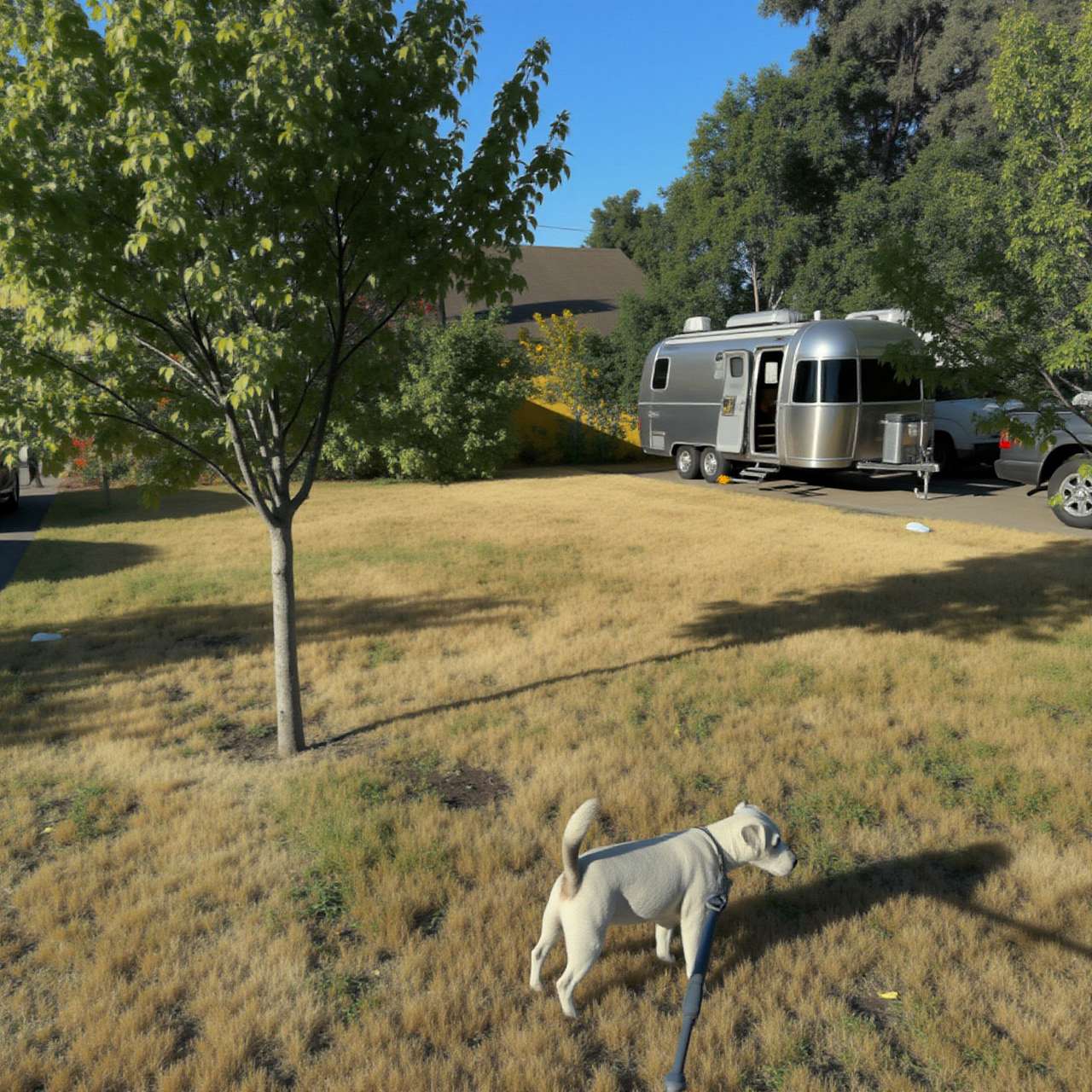 My Starlink worked well with it placed in the grass in the yard.