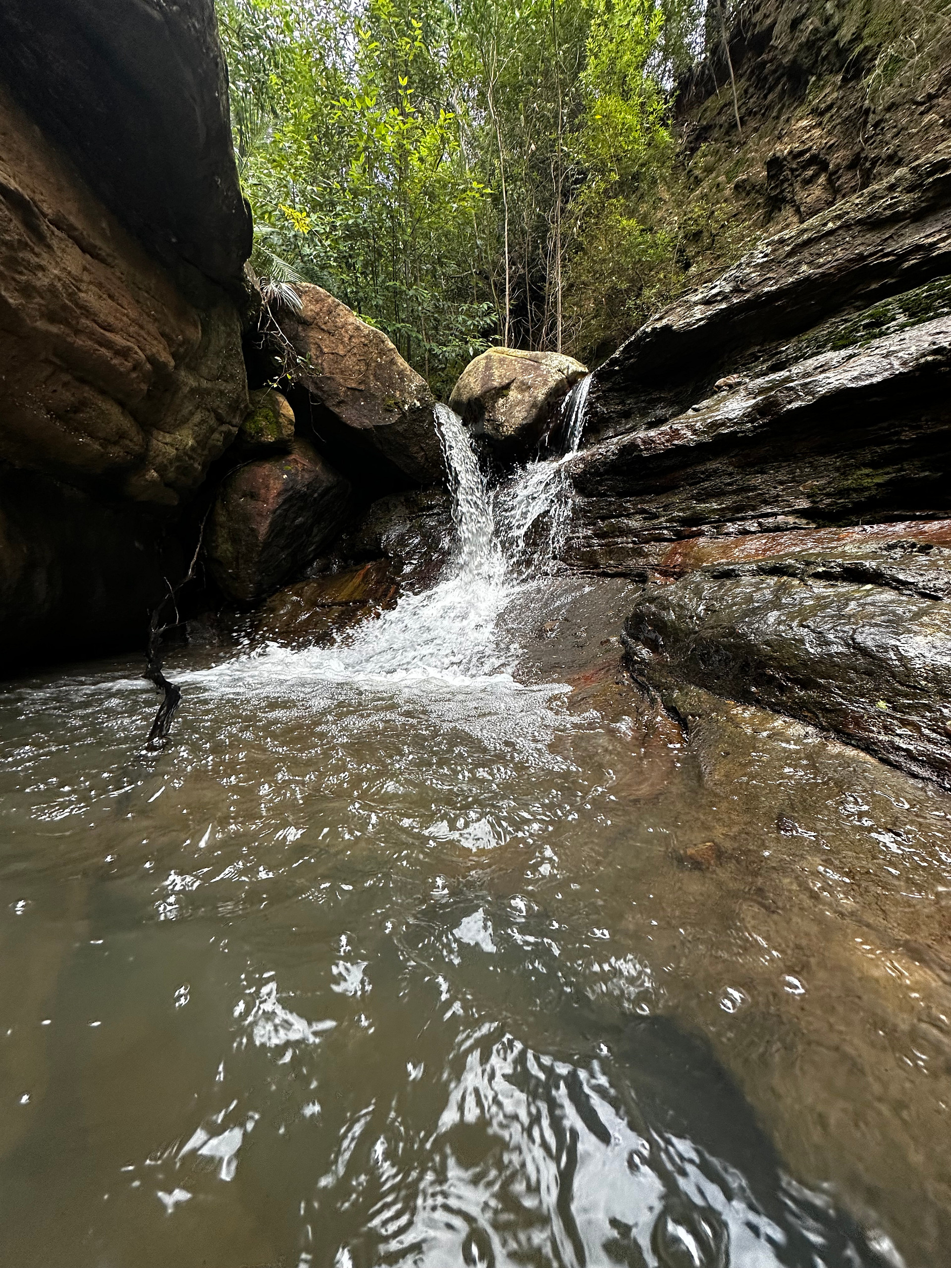 Wombat Hollow