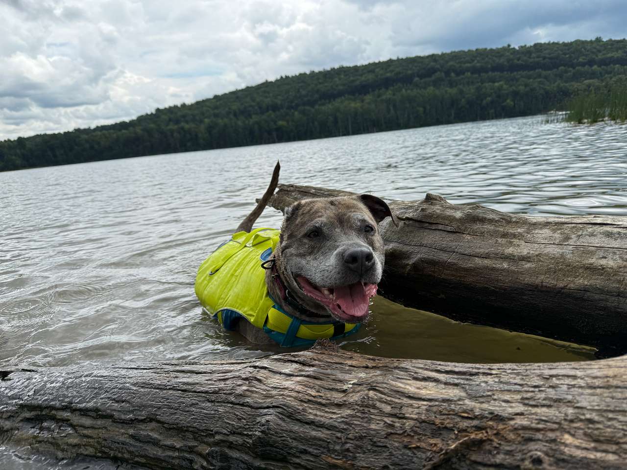 Cowanesque Lake