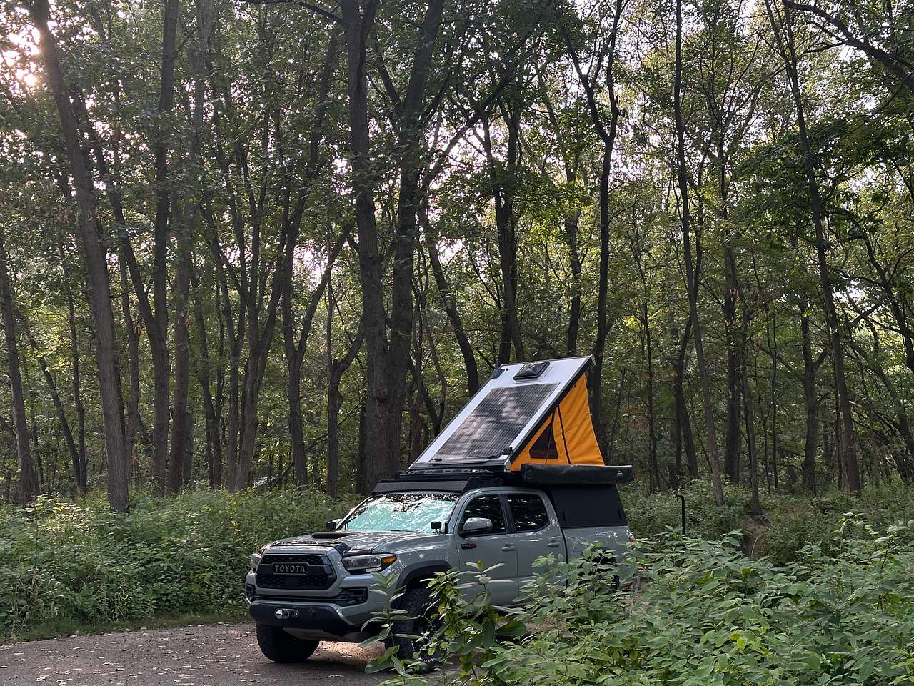 Site #33