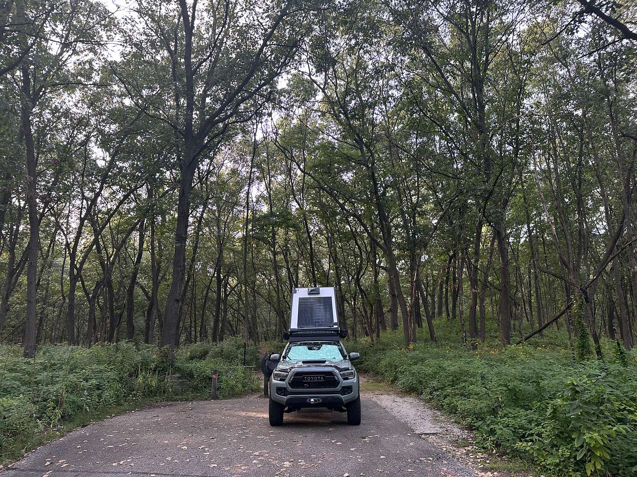 Site #33