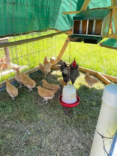 Matthews Creek Farm