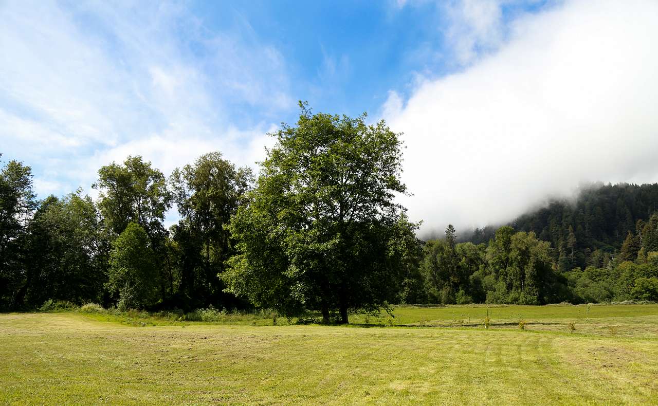 Redwood RV Park