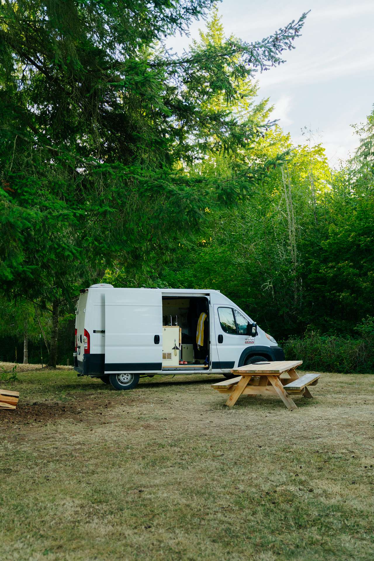 Camp Wildlife